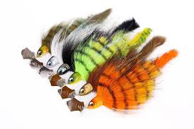 Coloris chacha bait
